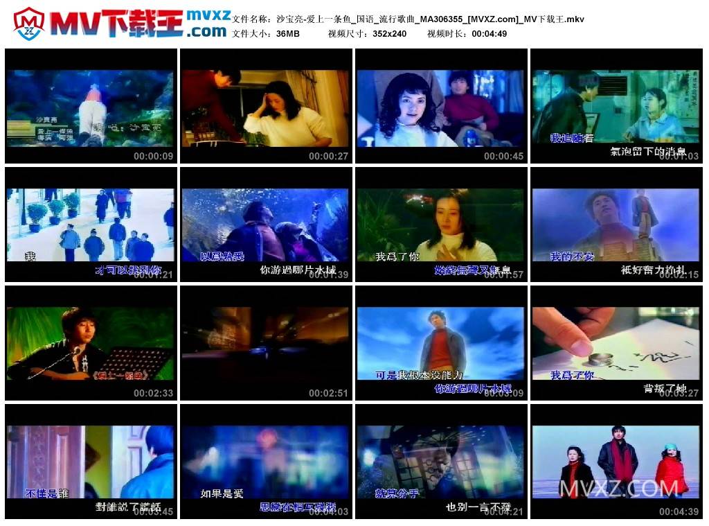 沙宝亮-爱上一条鱼_国语_流行歌曲_MA306355